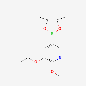 molecular formula C14H22BNO4 B577536 3-Ethoxy-2-methoxy-5-(4,4,5,5-tetramethyl-[1,3,2]dioxaborolan-2-yl)pyridine CAS No. 1257554-14-5