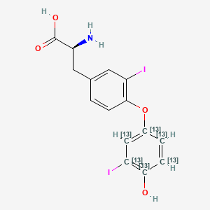 molecular formula C15H13I2NO4 B577567 3,3'-Diiodo-L-thyronine-13C6 CAS No. 1217459-13-6