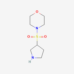 molecular formula C8H16N2O3S B577631 4-(3-Pyrrolidinylsulfonyl)-morpholine CAS No. 1206969-59-6