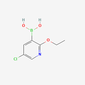 molecular formula C7H9BClNO3 B577634 5-CHLORO-2-ETHOXYPYRIDINE-3-BORONIC ACID CAS No. 1217500-52-1
