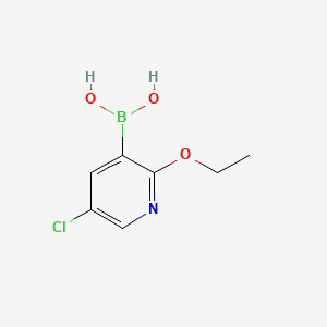 (5-Chloro-2-ethoxypyridin-3-yl)boronic acid
