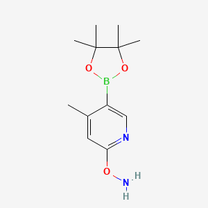 molecular formula C12H19BN2O3 B577642 o-(4-Methyl-5-(4,4,5,5-tetramethyl-1,3,2-dioxaborolan-2-yl)pyridin-2-yl)hydroxylamine CAS No. 1353718-44-1