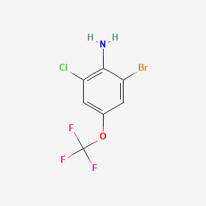 molecular formula C7H4BrClF3NO B577655 2-Bromo-6-chloro-4-(trifluoromethoxy)aniline CAS No. 1228108-74-4
