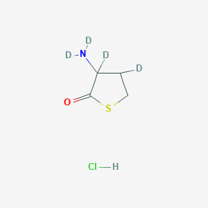 molecular formula C4H8ClNOS B577688 dl-homocysteine thiolactone-3,3,4,4-d4 hcl CAS No. 1219805-31-8