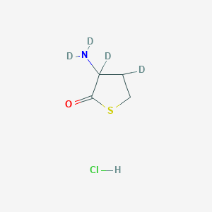 molecular formula C4H8ClNOS B577688 DL-Homocysteine Thiolactone-3,3,4,4-d4HCl CAS No. 1219805-31-8