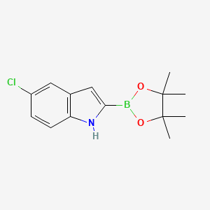 molecular formula C14H17BClNO2 B577691 5-Chloro-2-(4,4,5,5-tetramethyl-1,3,2-dioxaborolan-2-yl)-1H-indole CAS No. 1256358-91-4