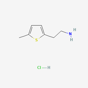molecular formula C7H12ClNS B577783 2-(5-Methyl-2-thienyl)ethanamine Hydrochloride CAS No. 1215839-34-1