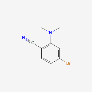 molecular formula C9H9BrN2 B577804 4-Bromo-2-(dimethylamino)benzonitrile CAS No. 1365272-41-8