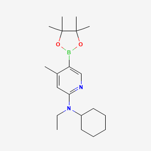 molecular formula C20H33BN2O2 B577805 n-Cyclohexyl-n-ethyl-4-methyl-5-(4,4,5,5-tetramethyl-1,3,2-dioxaborolan-2-yl)pyridin-2-amine CAS No. 1353718-79-2