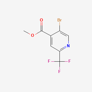 molecular formula C8H5BrF3NO2 B577828 Methyl 5-bromo-2-(trifluoromethyl)isonicotinate CAS No. 1211589-41-1