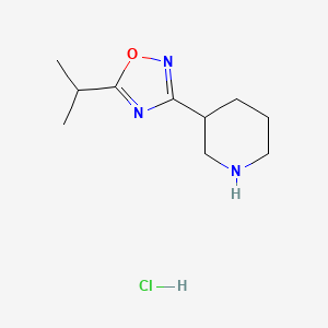 molecular formula C10H18ClN3O B577874 3-[5-(丙-2-基)-1,2,4-恶二唑-3-基]哌啶盐酸盐 CAS No. 1251925-12-8