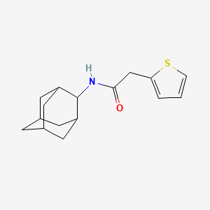 molecular formula C16H21NOS B5779340 N-(2-adamantyl)-2-thiophen-2-ylacetamide 