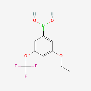 molecular formula C9H10BF3O4 B577939 (3-乙氧基-5-(三氟甲氧基)苯基)硼酸 CAS No. 1256345-87-5