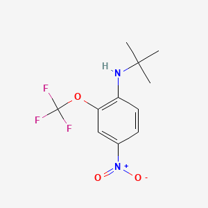 molecular formula C11H13F3N2O3 B577969 N-叔丁基-4-硝基-2-(三氟甲氧基)苯胺 CAS No. 1352318-51-4