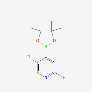 molecular formula C11H14BClFNO2 B577984 5-Chloro-2-fluoro-4-(4,4,5,5-tetramethyl-1,3,2-dioxaborolan-2-yl)pyridine CAS No. 1310383-58-4