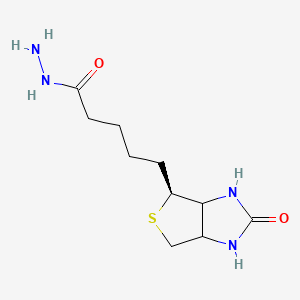molecular formula C10H18N4O2S B578044 5-((4S)-2-Oxohexahydro-1H-thieno[3,4-d]imidazol-4-yl)pentanehydrazide CAS No. 1214641-84-5