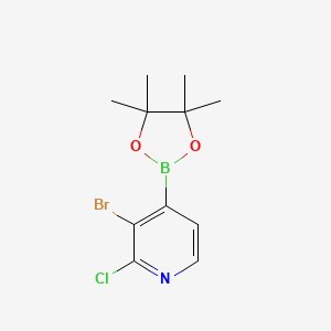 molecular formula C11H14BBrClNO2 B578109 3-Bromo-2-chloropyridine-4-boronic acid pinacol ester CAS No. 1315351-37-1