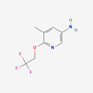 molecular formula C8H9F3N2O B578116 5-Methyl-6-(2,2,2-trifluoroethoxy)pyridin-3-amine CAS No. 1250497-38-1
