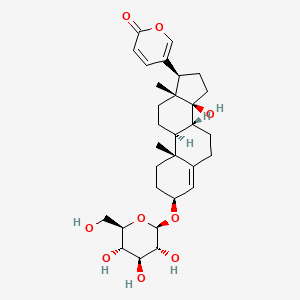 molecular formula C30H42O9 B578134 Scillarenin glucoside CAS No. 14904-71-3