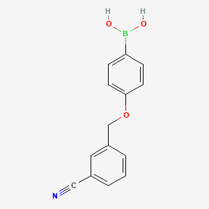 molecular formula C14H12BNO3 B578158 (4-((3-Cyanobenzyl)oxy)phenyl)boronic acid CAS No. 1256355-78-8