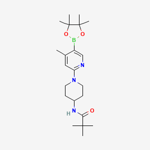 molecular formula C22H36BN3O3 B578227 n-(1-(4-Methyl-5-(4,4,5,5-tetramethyl-1,3,2-dioxaborolan-2-yl)pyridin-2-yl)piperidin-4-yl)pivalamide CAS No. 1352414-65-3