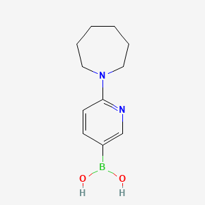 molecular formula C11H17BN2O2 B578356 (6-(Azepan-1-yl)pyridin-3-yl)boronic acid CAS No. 1227612-21-6