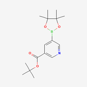 molecular formula C16H24BNO4 B578423 tert-Butyl 5-(4,4,5,5-tetramethyl-1,3,2-dioxaborolan-2-yl)nicotinate CAS No. 1309982-38-4