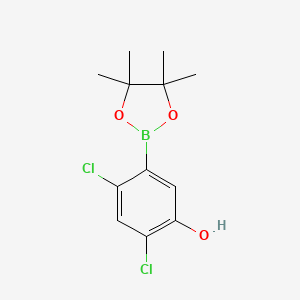 molecular formula C12H15BCl2O3 B578511 2,4-Dichloro-5-(4,4,5,5-tetramethyl-1,3,2-dioxaborolan-2-yl)phenol CAS No. 1256360-32-3