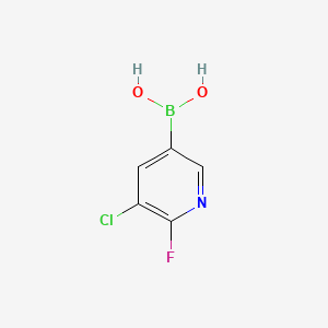 molecular formula C5H4BClFNO2 B578514 (5-Chloro-6-fluoropyridin-3-YL)boronic acid CAS No. 1366482-32-7