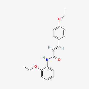 molecular formula C19H21NO3 B5788567 N-(2-ethoxyphenyl)-3-(4-ethoxyphenyl)acrylamide 