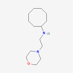 molecular formula C14H28N2O B5789039 N-(2-morpholin-4-ylethyl)cyclooctanamine 