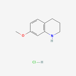 molecular formula C10H14ClNO B579575 7-Methoxy-1,2,3,4-tetrahydroquinoline hydrochloride CAS No. 19500-62-0