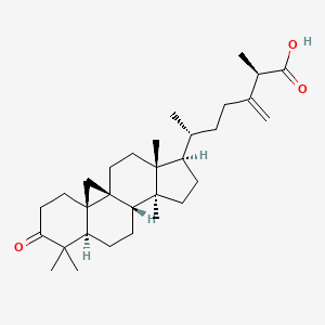 molecular formula C31H48O3 B579668 (2R,6R)-2-methyl-3-methylidene-6-[(1S,3R,8R,11S,12S,15R,16R)-7,7,12,16-tetramethyl-6-oxo-15-pentacyclo[9.7.0.01,3.03,8.012,16]octadecanyl]heptanoic acid CAS No. 17984-17-7