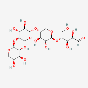 molecular formula C20H34O17 B580021 Xylotetraose CAS No. 22416-58-6