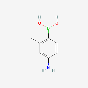 molecular formula C7H10BNO2 B580047 (4-氨基-2-甲基苯基)硼酸 CAS No. 216060-08-1