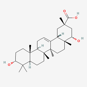 molecular formula C30H48O4 B580061 Triptocallic acid D CAS No. 201534-09-0