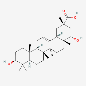 molecular formula C30H48O4 B580061 triptocallic acid D CAS No. 201534-09-0