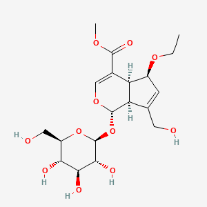 molecular formula C19H28O11 B580133 6-Ethoxygeniposide CAS No. 1264496-61-8