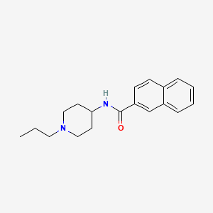 molecular formula C19H24N2O B5802189 N-(1-propylpiperidin-4-yl)naphthalene-2-carboxamide 