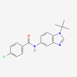 molecular formula C18H18ClN3O B5802453 N-(1-tert-butylbenzimidazol-5-yl)-4-chlorobenzamide 