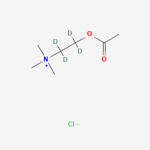 molecular formula C7H16ClNO2 B580264 Acetylcholine-1,1,2,2-D4 chloride CAS No. 344298-94-8