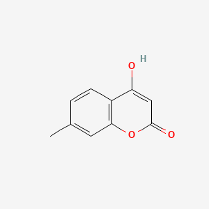 molecular formula C10H8O3 B580274 4-Hydroxy-7-methylcoumarin CAS No. 18692-77-8
