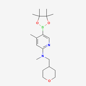 molecular formula C19H31BN2O3 B580343 N,4-Dimethyl-N-(oxan-4-ylmethyl)-5-(4,4,5,5-tetramethyl-1,3,2-dioxaborolan-2-YL)pyridin-2-amine CAS No. 1353723-54-2