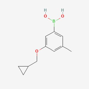 molecular formula C11H15BO3 B580345 (3-(Cyclopropylmethoxy)-5-methylphenyl)boronic acid CAS No. 1256345-78-4