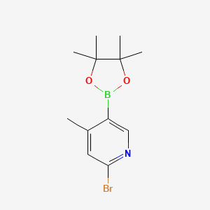 molecular formula C12H17BBrNO2 B580361 2-溴-4-甲基-5-(4,4,5,5-四甲基-1,3,2-二氧杂硼环-2-基)吡啶 CAS No. 1309982-23-7
