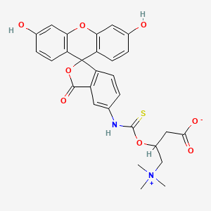 molecular formula C28H26N2O8S B580370 N-(5-Fluoresceinyl)-L-carnitine-O-thiocarbamate CAS No. 1258239-73-4