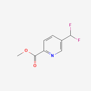 molecular formula C8H7F2NO2 B580374 5-Difluoromethyl-pyridine-2-carboxylic acid methyl ester CAS No. 1346148-42-2