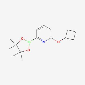 molecular formula C15H22BNO3 B580441 2-Cyclobutoxy-6-(4,4,5,5-tetramethyl-1,3,2-dioxaborolan-2-yl)pyridine CAS No. 1310404-15-9