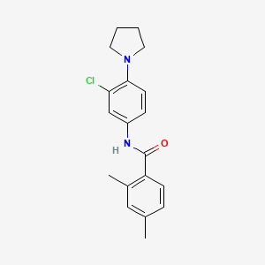 molecular formula C19H21ClN2O B5804434 N-[3-chloro-4-(pyrrolidin-1-yl)phenyl]-2,4-dimethylbenzamide 
