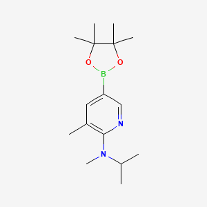 molecular formula C16H27BN2O2 B580462 n-Isopropyl-n,3-dimethyl-5-(4,4,5,5-tetramethyl-1,3,2-dioxaborolan-2-yl)pyridin-2-amine CAS No. 1353718-18-9